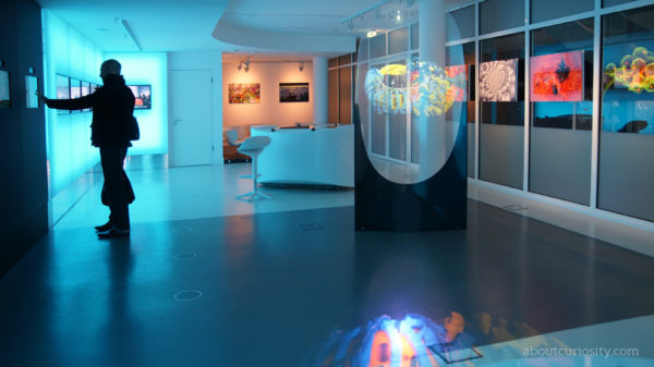 max_planck_science_gallery4 max planck science gallery