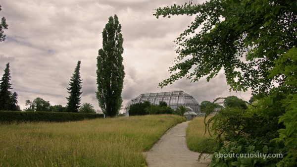 glasshouse at botanical garden berlin