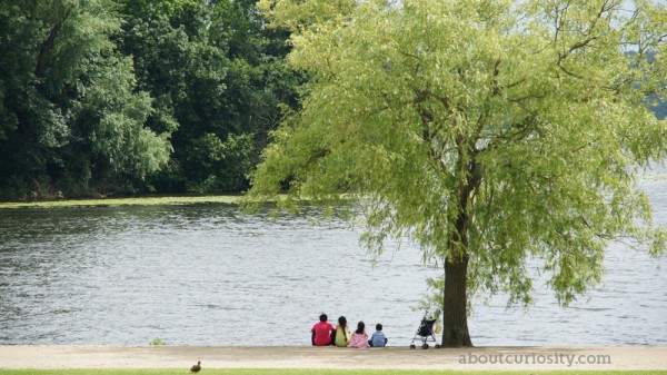 wannsee