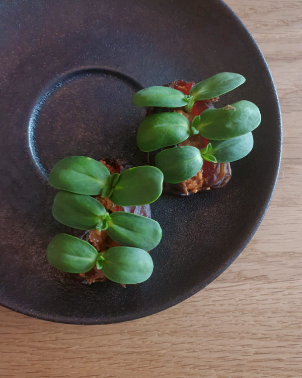 Dates with Micro Greens